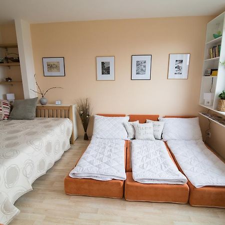 Apartman Labe Ústí nad Labem Buitenkant foto