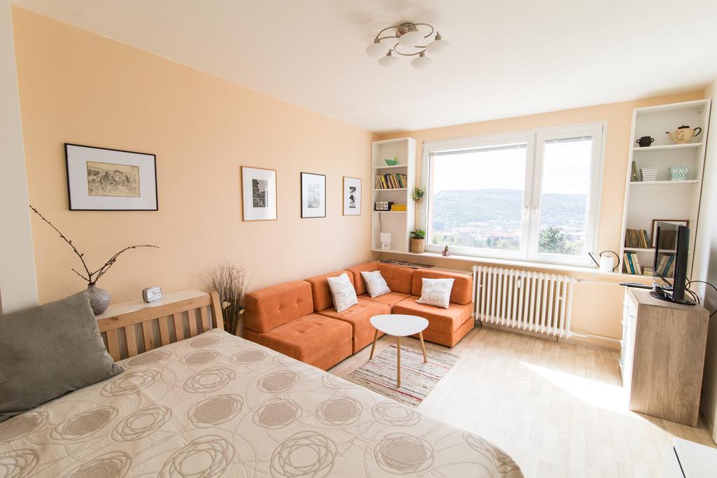 Apartman Labe Ústí nad Labem Buitenkant foto