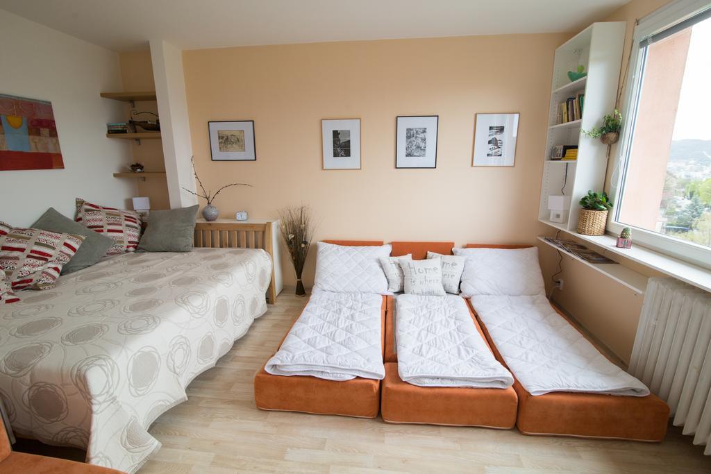 Apartman Labe Ústí nad Labem Buitenkant foto